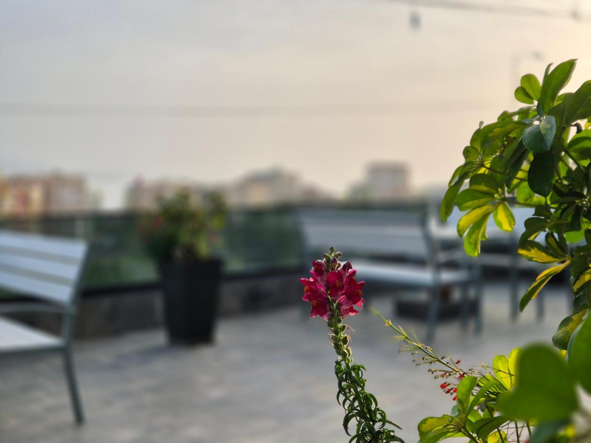 Flore Rooms ซารานเดอ ภายนอก รูปภาพ